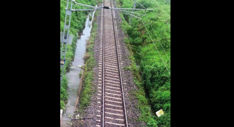 Lion enters the tracks fenced through the farm gate: panel