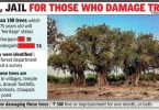 The forest department to mark 100 old trees with 'legacy' status