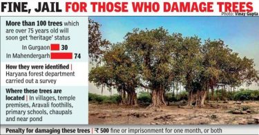 The forest department to mark 100 old trees with 'legacy' status