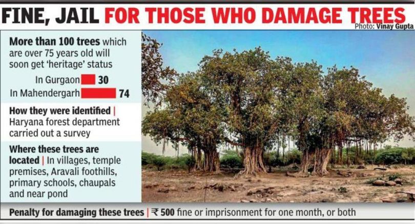 The forest department to mark 100 old trees with 'legacy' status
