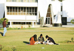 Punjabi University started an integrated 5-year course