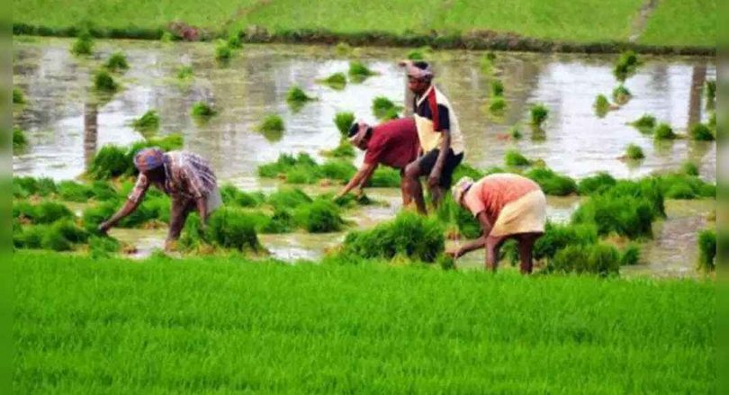 West Bengal: 9.5L farmers who come out of the PM-Kisan scheme