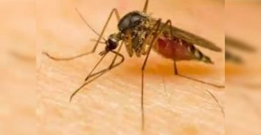 Zika's test for Dengue, Chikungunya -Ve patients in Maha