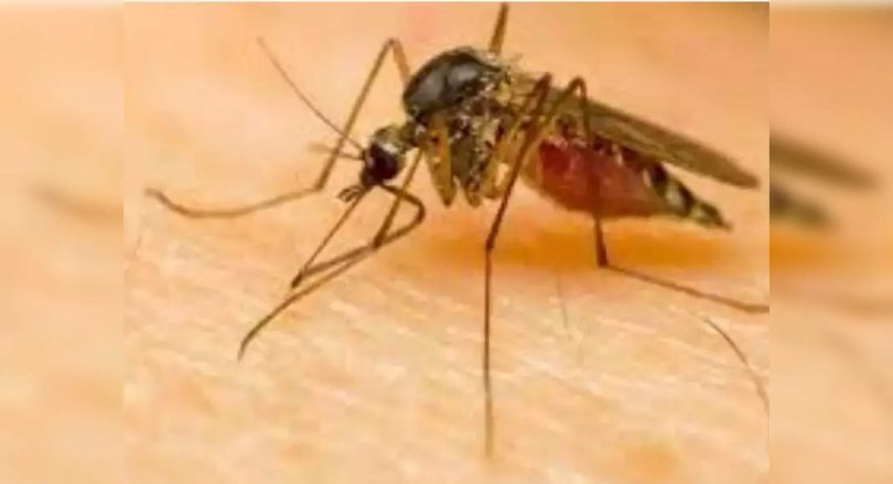 Zika's test for Dengue, Chikungunya -Ve patients in Maha
