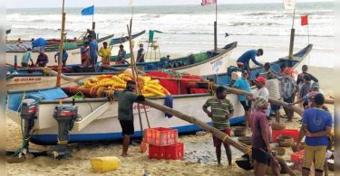 Fishermen in Salcete Reap Bumper Catch Shrimp