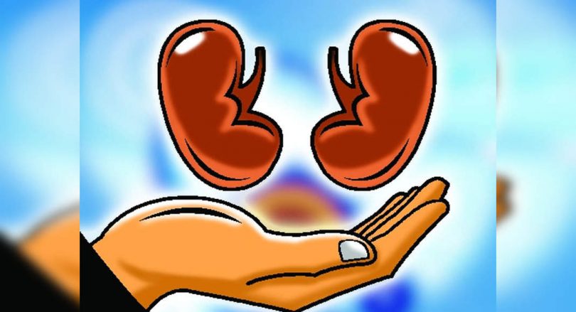 Goa: Survivor Covid Gets Kidney Transplantation