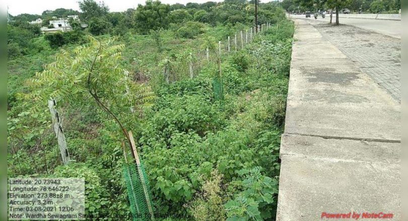 PWD said he would plant 200 trees at each km