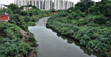 Gujarat: Illegal structure causes flooding, making frightening reptiles