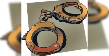 Caregivers are held for livestock brutally beaten in Home