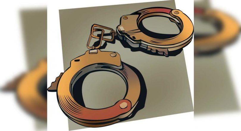 Caregivers are held for livestock brutally beaten in Home