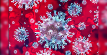 Florida became a new Covid epicenter in the US