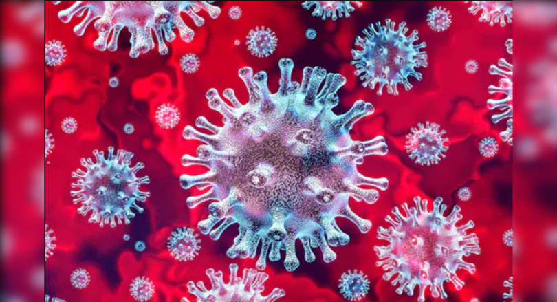 Florida became a new Covid epicenter in the US