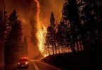 Large California fire grows as a hot nail again throughout the state