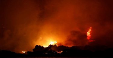 Firefighters against 16 forest fires in Turkey, risky power plants