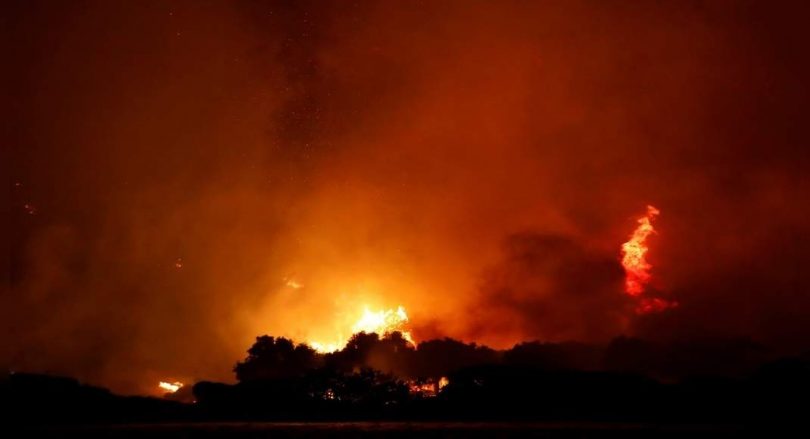 Firefighters against 16 forest fires in Turkey, risky power plants