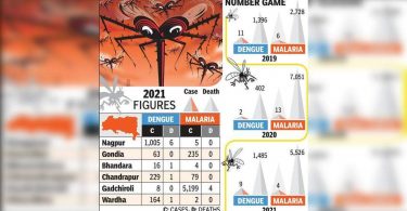 Dengue Toll Rises to 9 in Division, Malaria Claims 4 at Gadchiroli