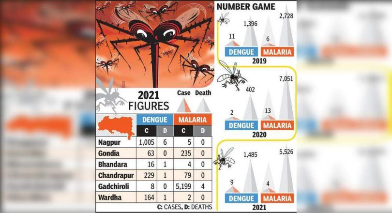 Dengue Toll Rises to 9 in Division, Malaria Claims 4 at Gadchiroli