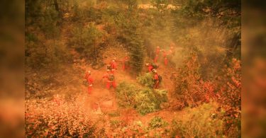 'Down to Nothing': Dry, Wind Weight Stoke planted California forest fires