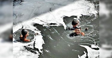 Delhi: Reasons why the efforts to clean Yamuna failed