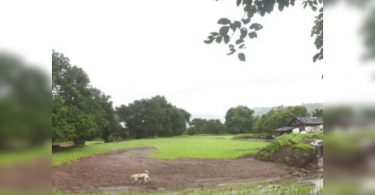 200 hectares of damaged land in umarshed