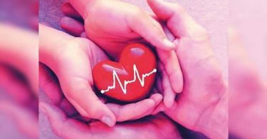 14 patients received an organ harvested from two patients dead brain