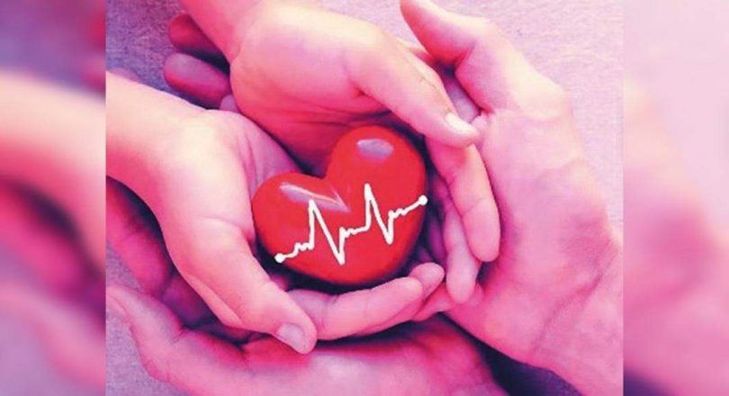 14 patients received an organ harvested from two patients dead brain