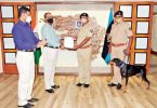 DGP Honors Dobermann Java, Handler