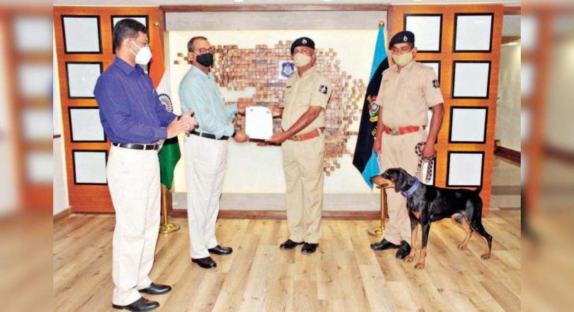 DGP Honors Dobermann Java, Handler