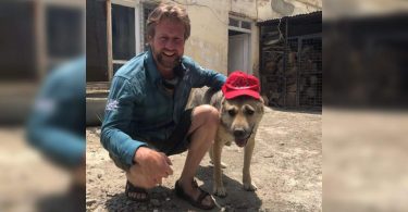 Pet shelter in the former sea in Afghanistan looking for evacuation staff, animals
