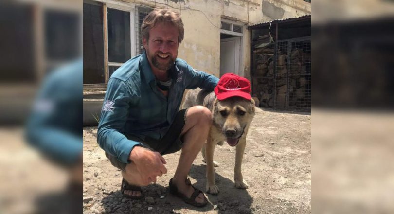 Pet shelter in the former sea in Afghanistan looking for evacuation staff, animals