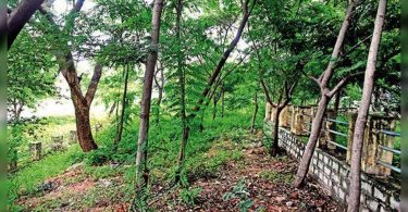 HYD: Working at Park 'Model' Hyderguda hasn't started