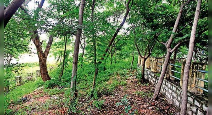 HYD: Working at Park 'Model' Hyderguda hasn't started