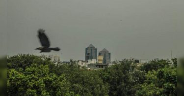 Blink-and-you-miss-it hooker, but more rain, cooling day is set to follow