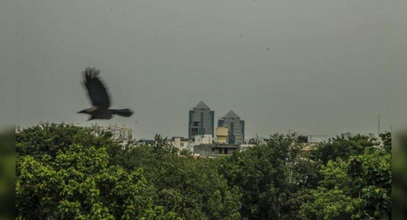 Blink-and-you-miss-it hooker, but more rain, cooling day is set to follow