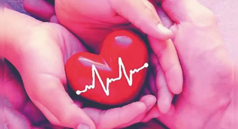 MySuru: 14 Receives Organs from 2 Brain Die Patients