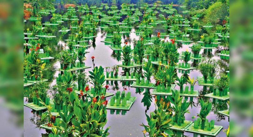 Delhi: How green is my lake! The sparkling hide secrets