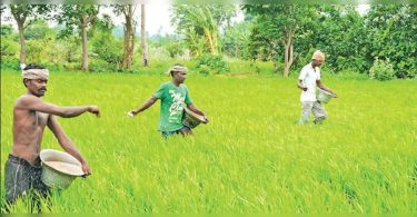 Farmers to get RS 2K-CR for the Loss of Samba Plant: Minister of TN