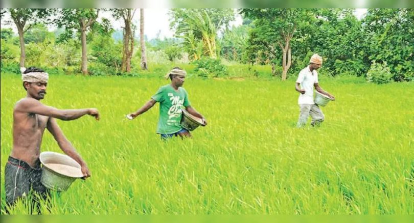 Farmers to get RS 2K-CR for the Loss of Samba Plant: Minister of TN