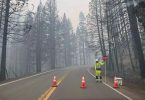 National Forest Closed as a surge in California forest fire
