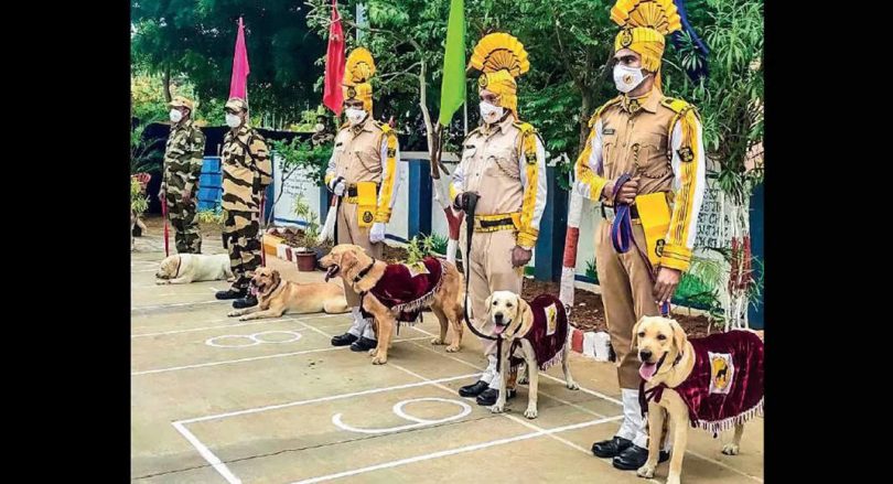Two CISF pension dogs, 3 newly appointed in Chennai