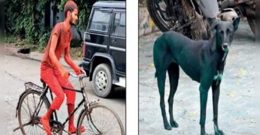 Human, animal coloring unnaturally in the VATVA area
