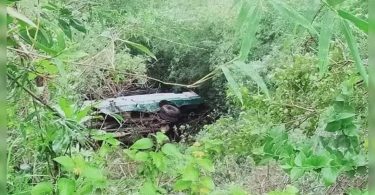 Himachal: Buses fall into ditches in Solan Dist, 31 injuries