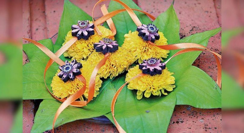 Watch the cattle Dung Rakhi grow into a Tulsi plant