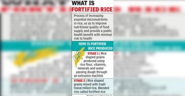 Reliable rice and parents who help: The country asks for DST to create awareness