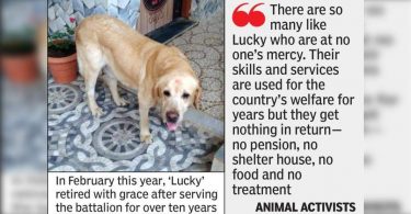 'Luck' comes out, now treated by a local veterinarian