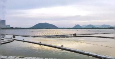 The biggest floating solar power plant in India starts at Andhra