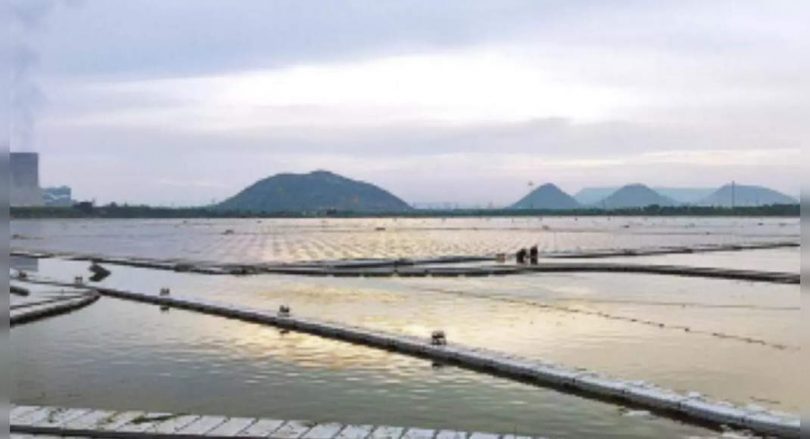 The biggest floating solar power plant in India starts at Andhra