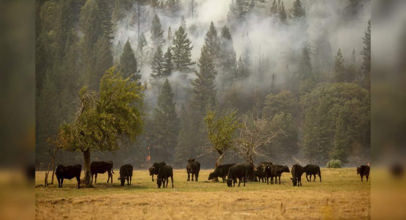The wind threatens destructive California fan