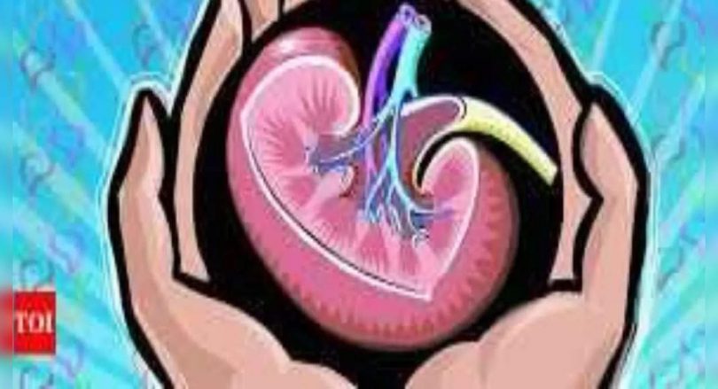 Delhi: You donate kidneys for older sisters