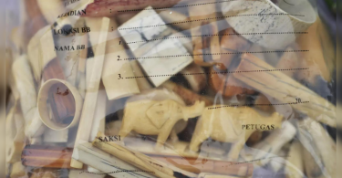 Indonesian police arrest elephant boyfriend, ivory buyer